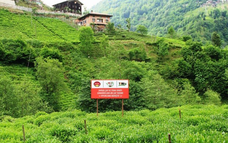 Toprak sağlığı korunarak geleceğe taşınıyor Toprak sağlığı korunarak geleceğe taşınıyor