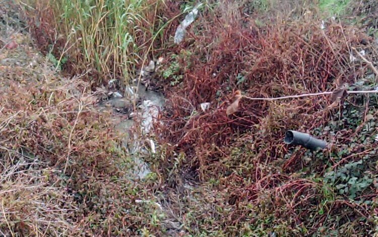 Bu rezalete kim dur diyecek? Bu rezalete kim dur diyecek?