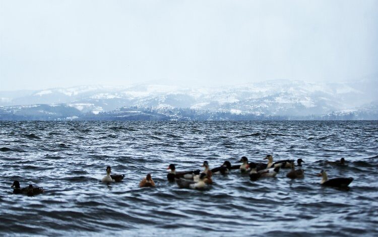 Sakarya’dan rahatlatan açıklama… Sapanca’da seviye yükseldi, risk yok!