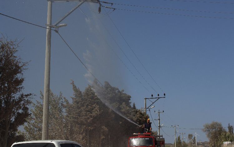 Bandırma’da elektrik hatlarında itfaiye destekli temizlik Bandırma’da elektrik hatlarında itfaiye destekli temizlik