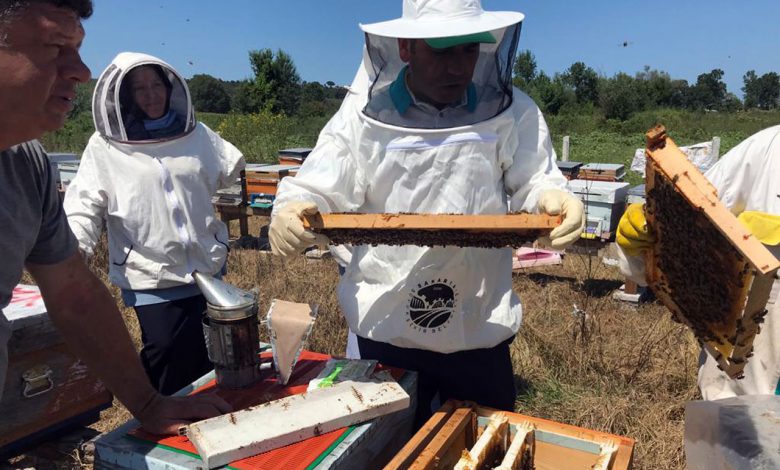 Sakarya’da ödüllü projenin katılımcıları sertifikalandı Sakarya’da ödüllü projenin katılımcıları sertifikalandı