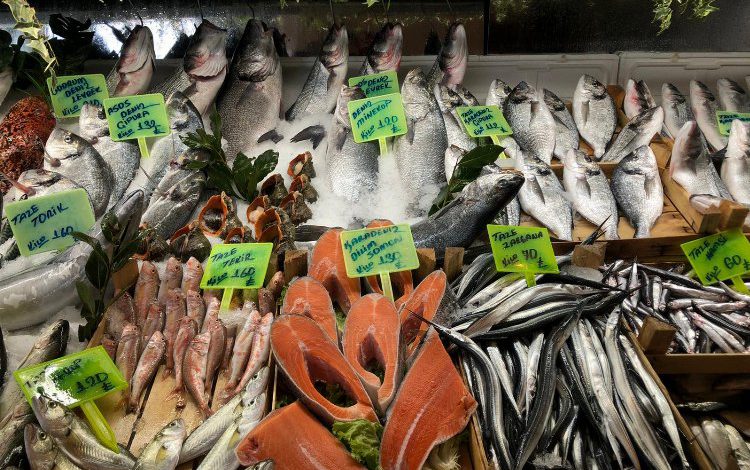 En gözde balıklar belli oldu En gözde balıklar belli oldu