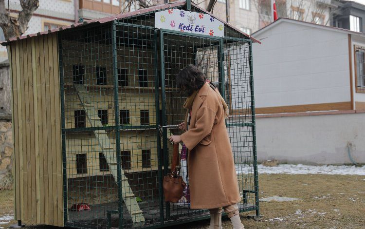 Sivas’ta kediler için ev yapıldı
