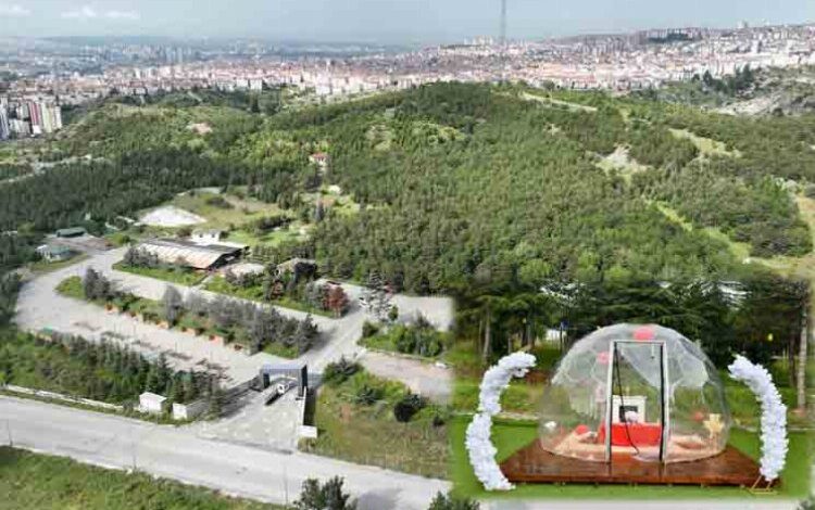 Kent Ormanı yeni yüzüyle nefes oldu