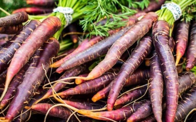 Kırmızı havucun faydaları saymakla bitmiyor! Kırmızı havucun faydaları saymakla bitmiyor!