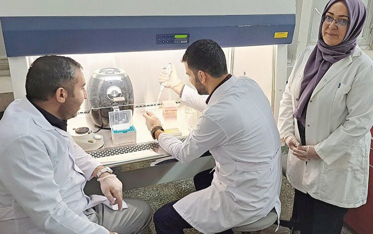 Şanlıurfa’da ‘sağlıklı et’ tüketimine bilimsel katkı Şanlıurfa’da ‘sağlıklı et’ tüketimine bilimsel katkı