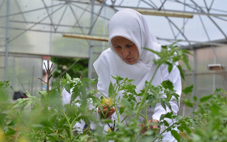 Bursa Yıldırım’da ‘özel’ anneler üretiyor Bursa Yıldırım’da ‘özel’ anneler üretiyor