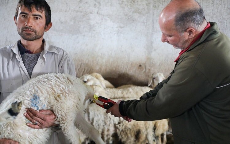 Hayvan dostu Talas’ta anlamlı destek Hayvan dostu Talas’ta anlamlı destek