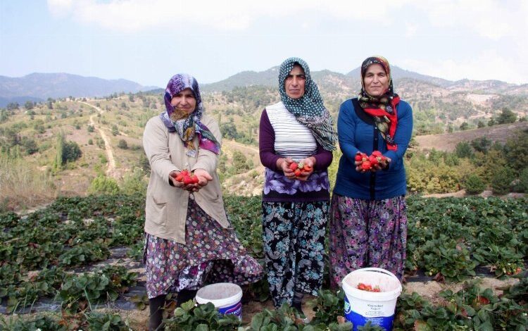 Başkan Aykurt duyurdu: Kırsalda üretim yapana müjde! Başkan Aykurt duyurdu: Kırsalda üretim yapana müjde!