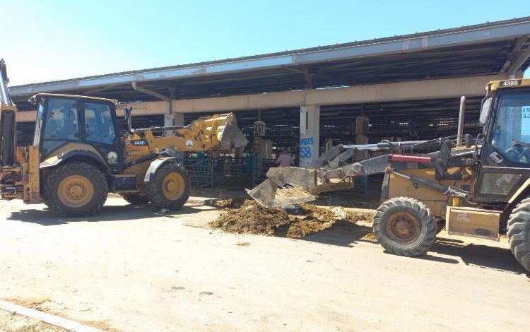 Bursa Osmangazi’de kurban satış yerleri kaldırıldı Bursa Osmangazi’de kurban satış yerleri kaldırıldı