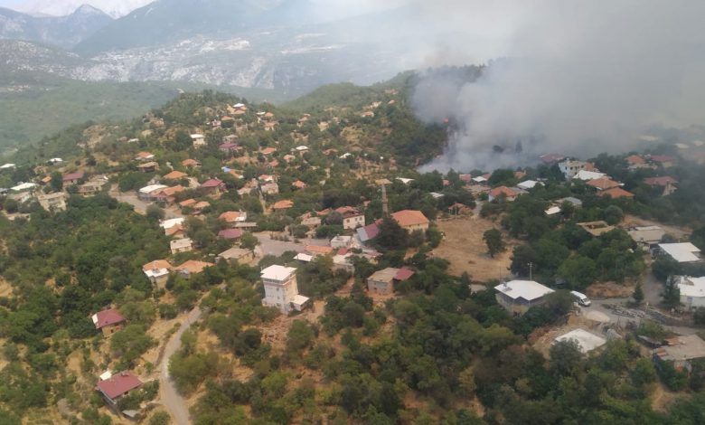 “Eski yeşil dokusuna kavuşturulacak”