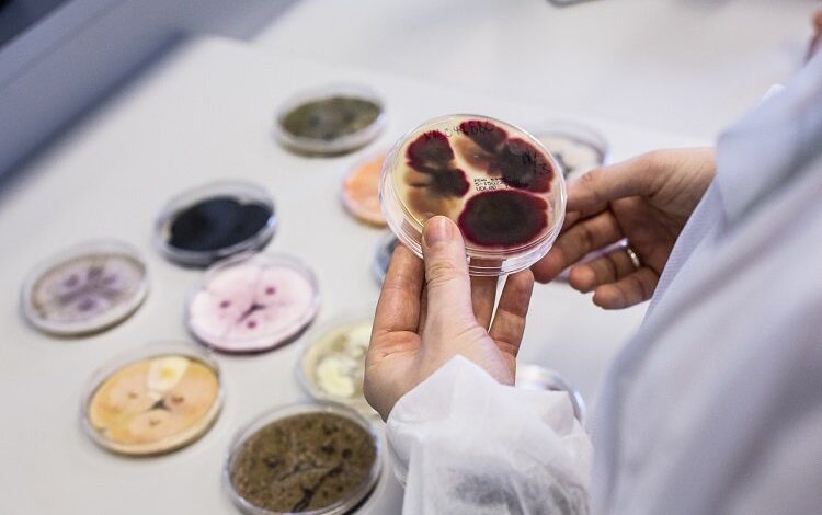 İsraf edilen akşam yemeği iklim krizi sebebi