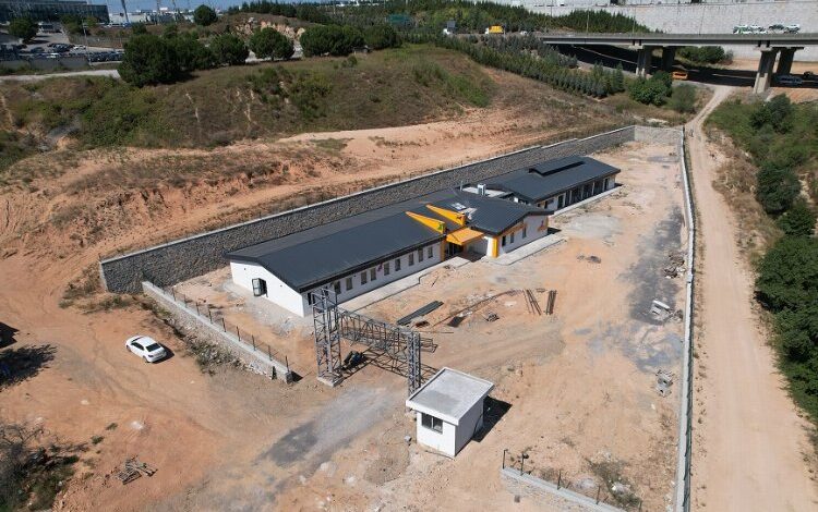 Sokak hayvanları için rehabilitasyonda sona doğru