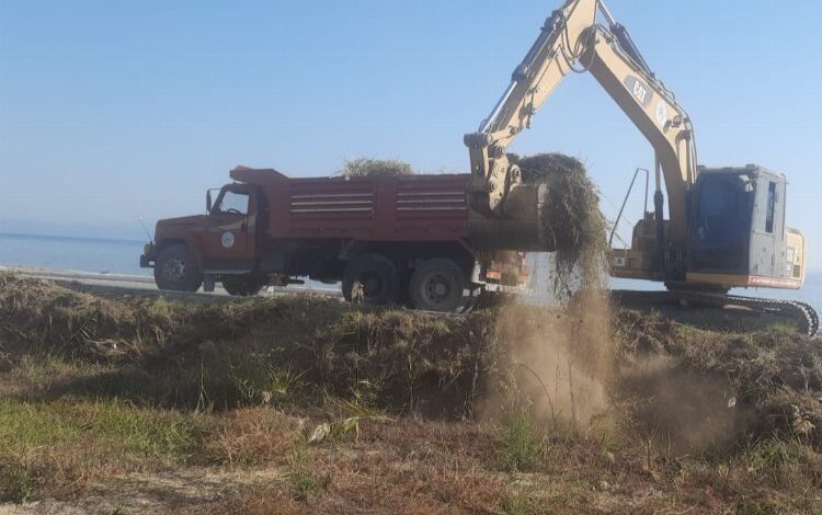 Muğla Milas’ta mevsimlik bakım ve budama Muğla Milas’ta mevsimlik bakım ve budama