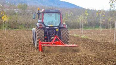 Tarım Parkı çiftçinin yüzünü güldürdü