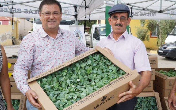 Muğla Milas’tan üreticilere fide desteği