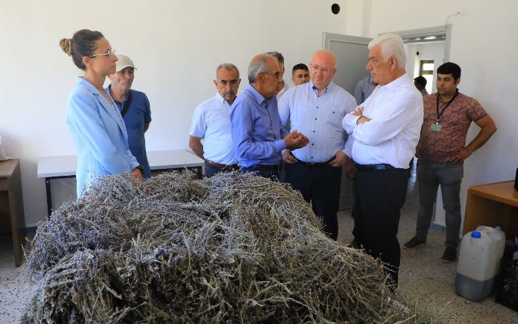 Muğla’da ‘tarımsal güçbirliği’ üreticiye kazandırıyor Muğla’da ‘tarımsal güçbirliği’ üreticiye kazandırıyor