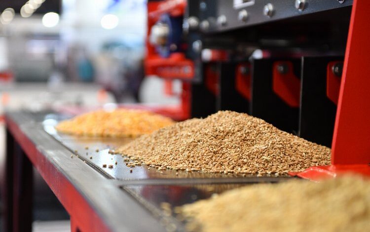 Tahıl sektörünün geleceği Türk-Rus Zirvesi’nde belirlenecek