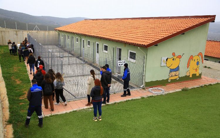 Muğla’da can dostların kapısı… Muğla’da can dostların kapısı…