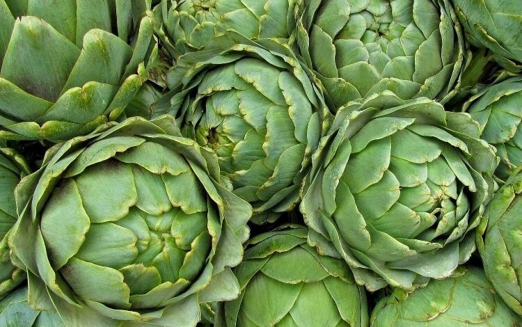 İşte enginarın bilmeniz gereken 5 faydası İşte enginarın bilmeniz gereken 5 faydası