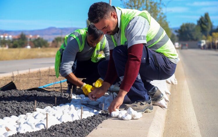 Su krizine karşı kuru peyzaj çözümü Su krizine karşı kuru peyzaj çözümü