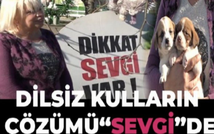 Dilsiz kulların çözümü “Sevgi”de