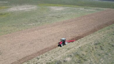 Nevşehir Belediyesi çiftlik kuruyor