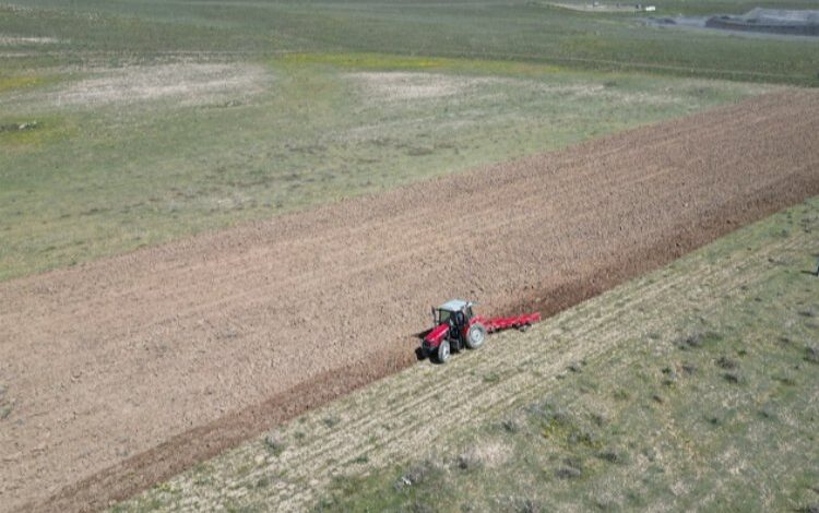 Nevşehir Belediyesi çiftlik kuruyor