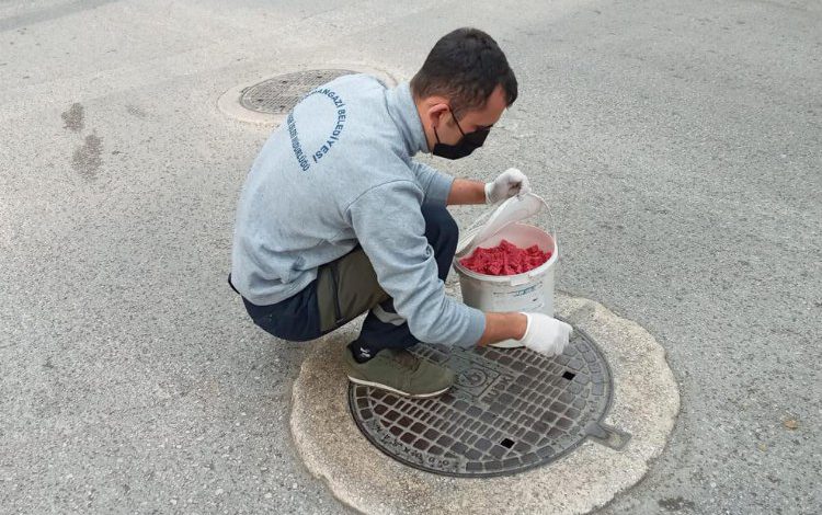 Bursa Osmangazi’de haşereler için ilaçlama