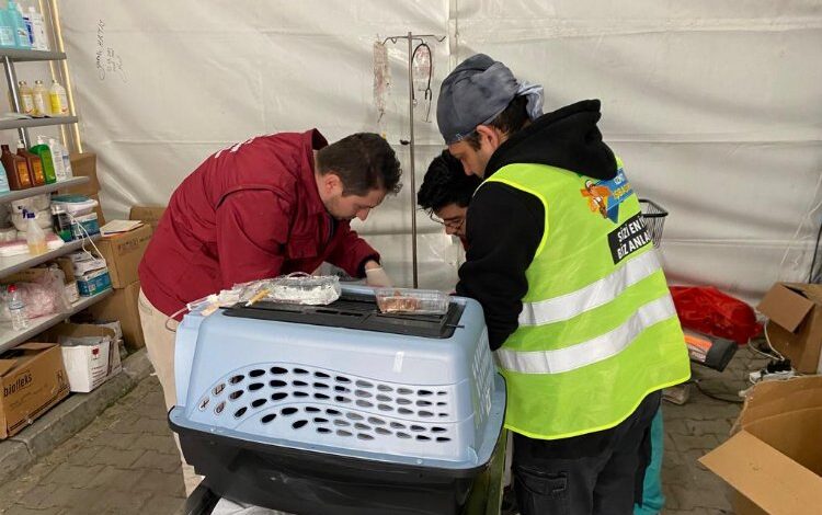 Patibüs, afet bölgesindde can dostlarının yaralarını sarıyor Patibüs, afet bölgesindde can dostlarının yaralarını sarıyor
