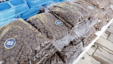 Kütahya’da sokak hayvanları yalnız bırakılmıyor