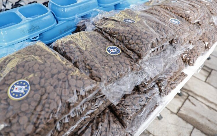 Kütahya’da sokak hayvanları yalnız bırakılmıyor Kütahya’da sokak hayvanları yalnız bırakılmıyor