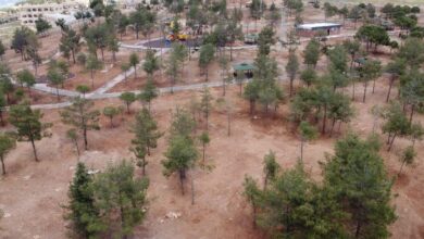 Şanlıurfa yeni ormanlara kavuşuyor