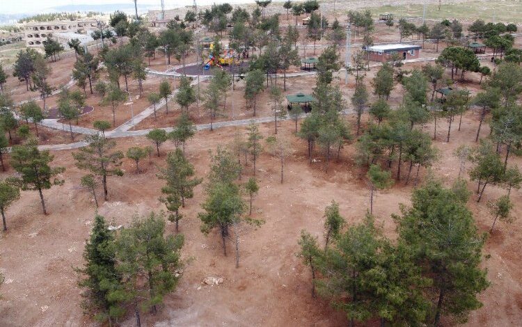 Şanlıurfa yeni ormanlara kavuşuyor