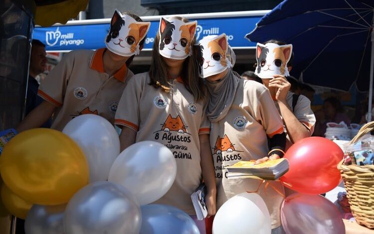 Uluslararası Kedi Günü’ne Keşan farkındalığı Uluslararası Kedi Günü’ne Keşan farkındalığı