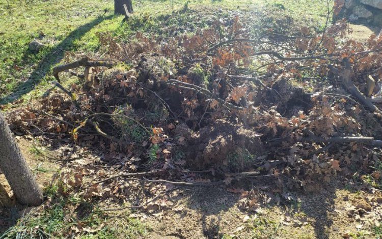 Bursa’da mezarlıkta esrarengiz olay Bursa’da mezarlıkta esrarengiz olay