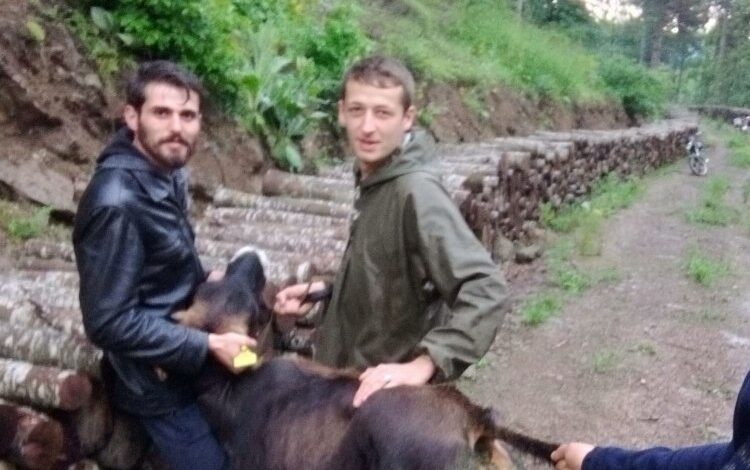 Bilecik’te kaçan kurbanlıklar bulundu