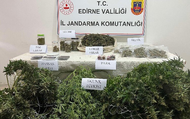 Edirne Jandarması’ndan uyuşturucu operasyonu