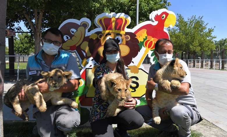 Kayseri’de hayvanat bahçesine yeni misafirler