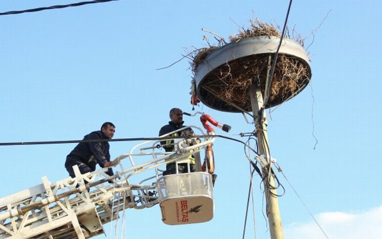 Yuvasız kalan leyleklere yardım eli Yuvasız kalan leyleklere yardım eli