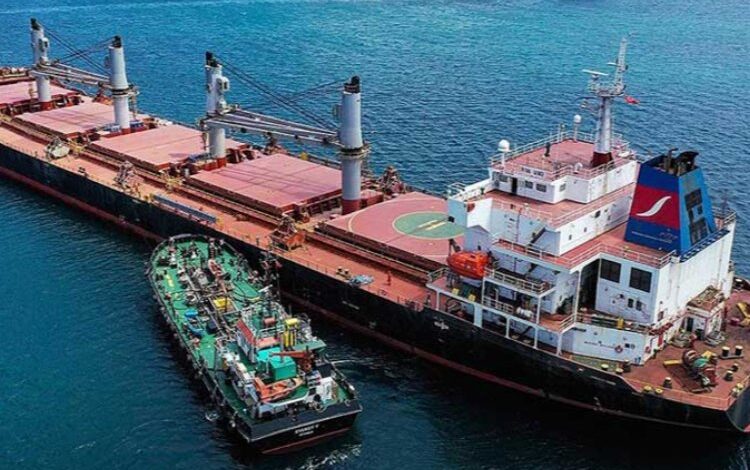 Tahıl koridoru bu 4 ilden geçecek