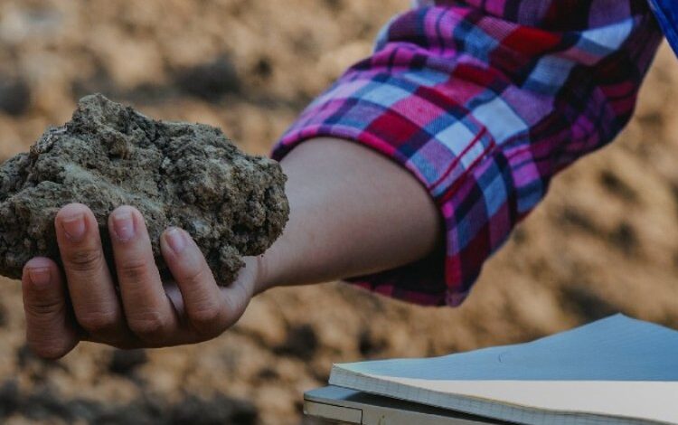 Efes Selçuk’ta üreticiye önemli destek Efes Selçuk’ta üreticiye önemli destek