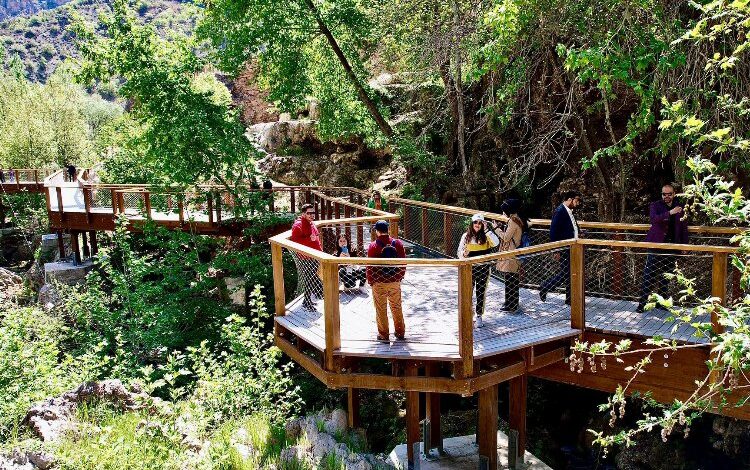 Konya dünyaya örnek işlere devam ediyor