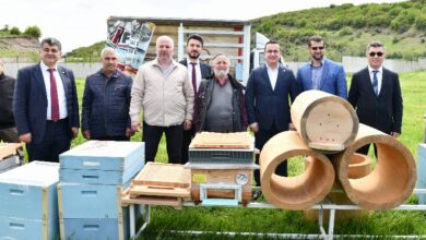 Türkiye’nin ilk arı pazarı Bursa’da kuruldu