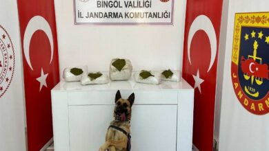 Bingöl’de toprağa gömülü toz esrar bulundu
