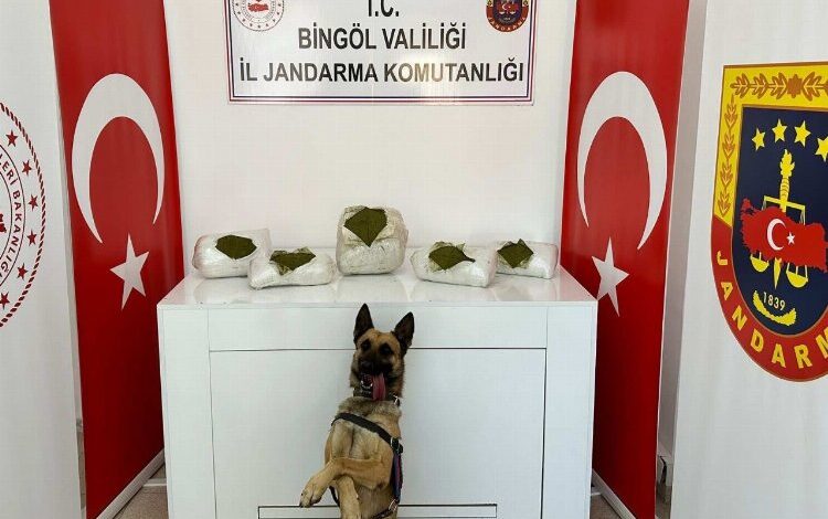 Bingöl’de toprağa gömülü toz esrar bulundu Bingöl’de toprağa gömülü toz esrar bulundu