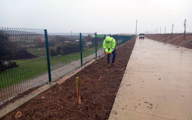 Kocaeli’de Demirciler’de mezarlık ağaçlandırıldı Kocaeli’de Demirciler’de mezarlık ağaçlandırıldı