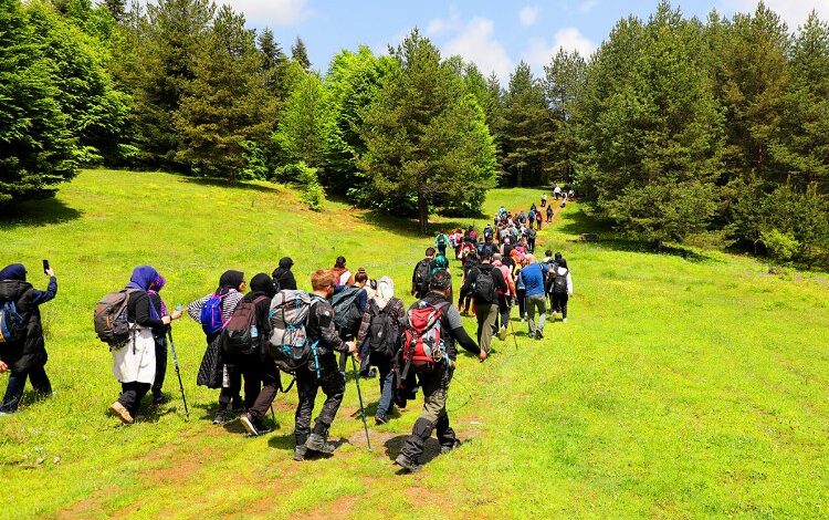 Doğa tutkunlarının rotası Pamukova oldu