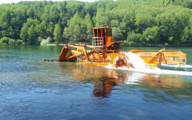 Göletlerde hasat zamanı