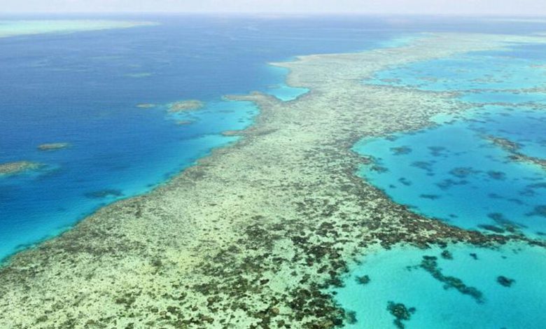 UNESCO, Büyük Bariyer Resifi’ni ‘kırmızı liste’ye alacak UNESCO, Büyük Bariyer Resifi’ni ‘kırmızı liste’ye alacak
